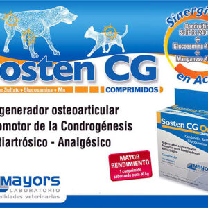 SOSTEN CG